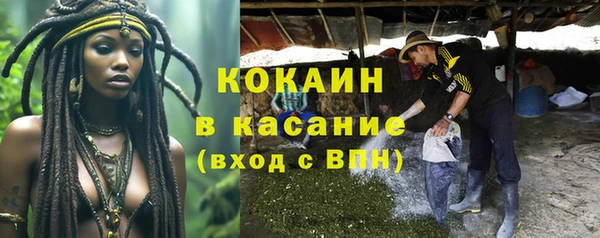 ГАЛЛЮЦИНОГЕННЫЕ ГРИБЫ Балабаново
