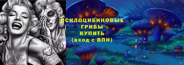 ГАЛЛЮЦИНОГЕННЫЕ ГРИБЫ Балабаново